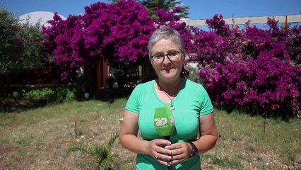 Pianot e Ksamilit/ Kompozitori Dizdari tregon si u ushtruan muzikantët e rinj në izolim