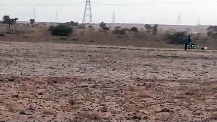 कलक्टर ने रामगढ़ क्षेत्र में टिड्डी नियंत्रण गतिविधियों का अवलोकन किया