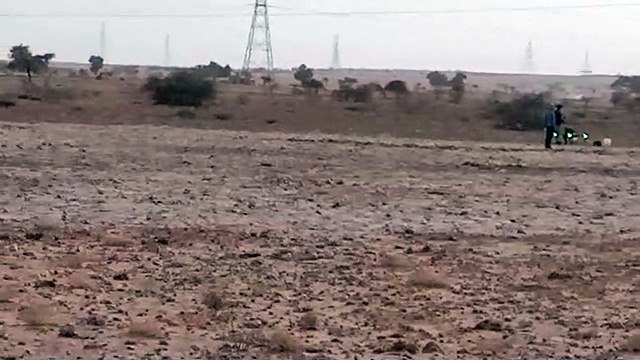 कलक्टर ने रामगढ़ क्षेत्र में टिड्डी नियंत्रण गतिविधियों का अवलोकन किया