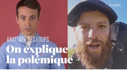 Un berger interpelle Hugo Clément après un sujet sur l'abattage d'un loup : on décrypte la polémique