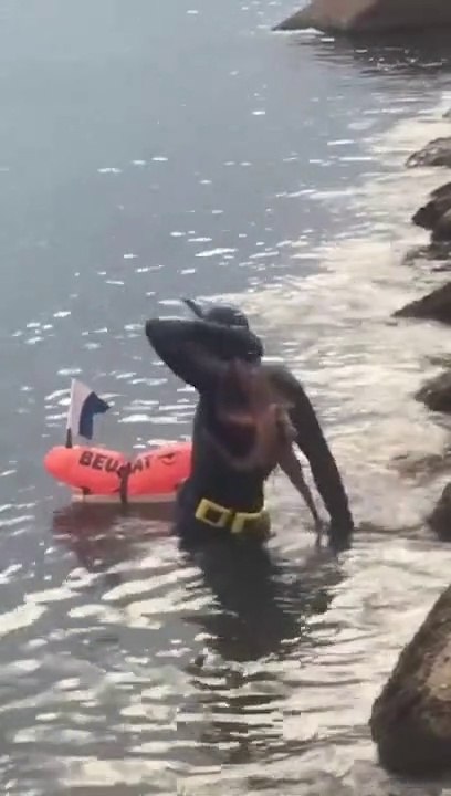 Ce plongeur tombe sur un copain très tenace ! Poulpe collant