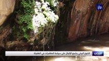 سياحة المغامرات تجذب الزائرين.. ومطالبات باستغلال أمثل للقطاع