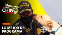 La Banda del Chino: El querido perrito 