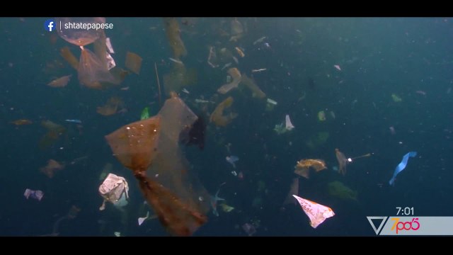 7pa5 - Si ndikon ndotja plastike te bimet – 2 Korrik 2020 – Vizion Plus