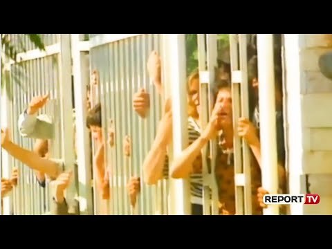 30 vite nga eksodi shqiptarëve, Meta, Rama e Basha për 2 korrikun 1990:Këtu kuptojmë çmimin e lirisë