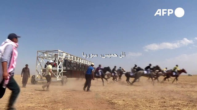 انطلاق مهرجان الخيول العربية الأصيلة في شمال شرق سوريا