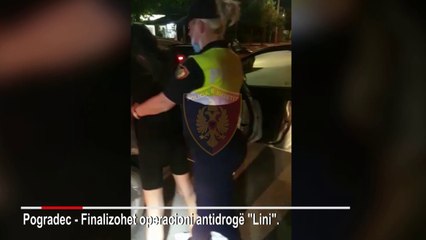 Download Video: Pogradec/ Tre persona në pranga, sekuestrohen 14 kg hashash