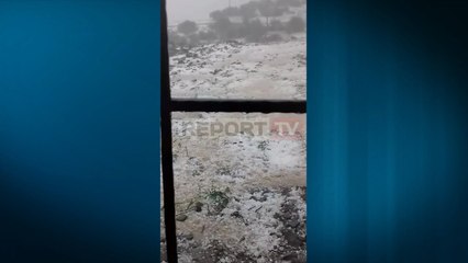 'Çmendet moti' në Përmet, bie breshër sa një kokërr kajsie! Shkatërrohen pemët frutore në 6 fshatra