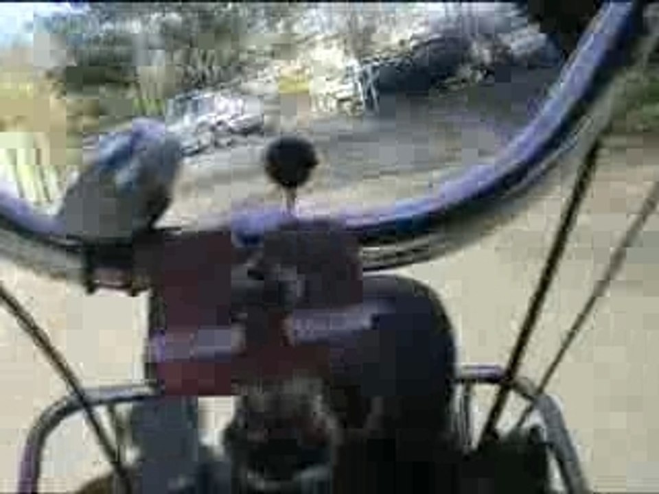 Rock'n Solex, Endurance 2008