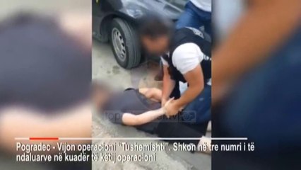 Top News - Operacioni ‘Tushemishti’/ Një i arrestuar për armë e drogë