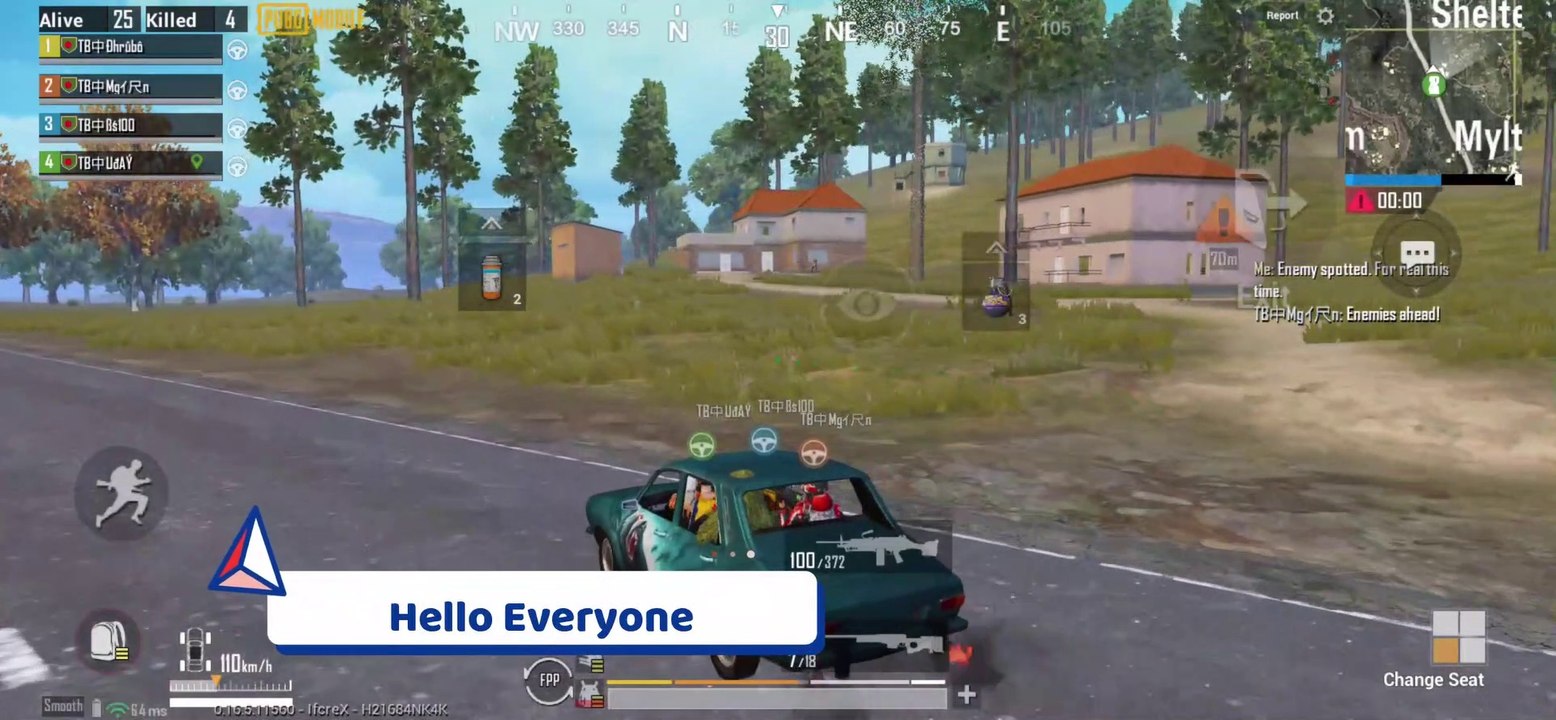 12 Kills Chiken