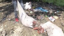 Report TV  në lumin Tërkuzë në Kamëz/ Mbetje të hedhur vend e pa vend, nuk ka asnjë kosh! (VIDEO)