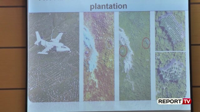 Rifillon patrullimi i Guardia di financa për kanabis!Trajnime për shqiptarët dhe pastrimit të parave