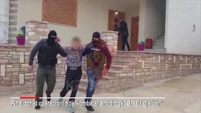 SPAK MBYLL HETIMET PER 21 TE ARRESTUARIT PER TRAFIK NDERKOMBETAR DROGE - News, Lajme - Kanali 7