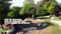 Zoo de Beauval : dans les coulisses du plus grand zoo de France