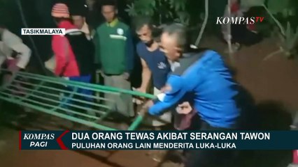 12 Orang Diserang Tawon, 2 Orang Meninggal Dunia