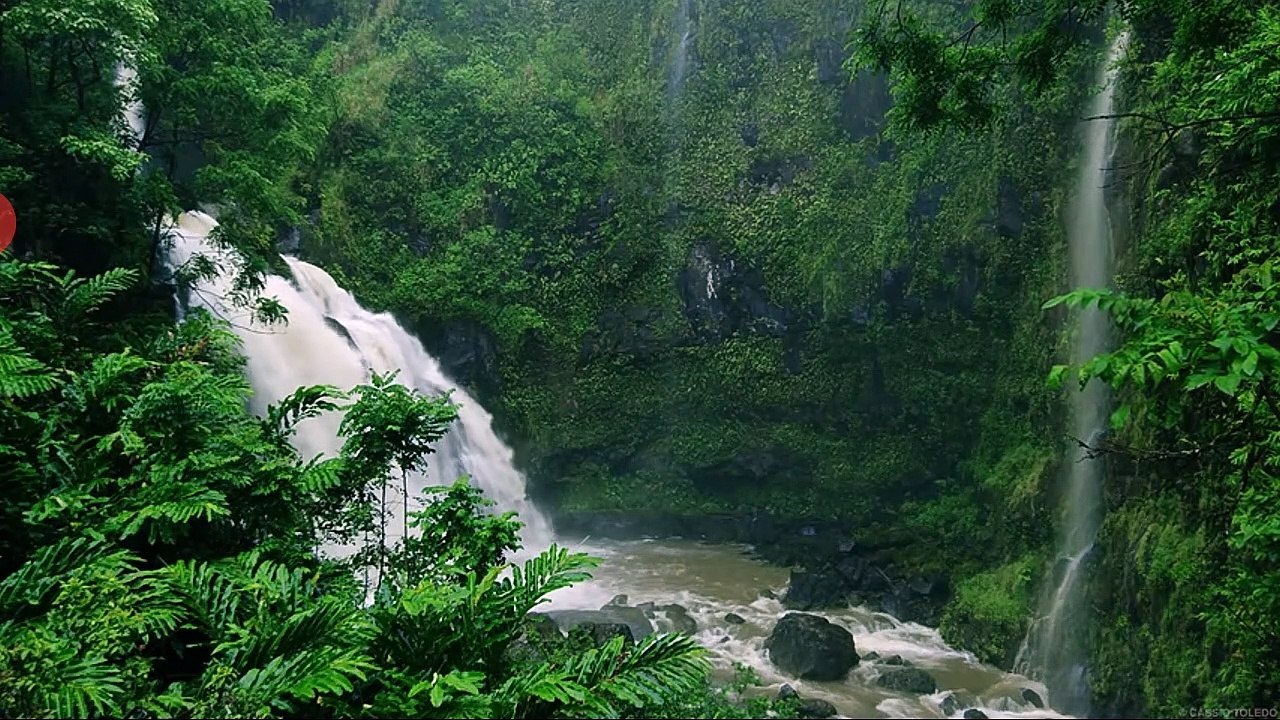 Meditation music: Relaxation and stress reliever music , healing sounds