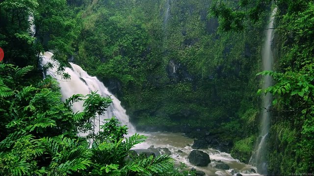 Meditation music: Relaxation and stress reliever music , healing sounds