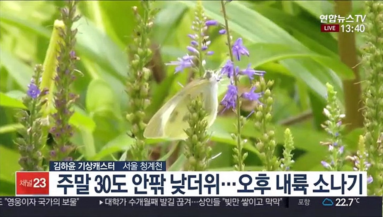 [날씨] 주말 30도 안팎 더위…내륙 곳곳 소나기