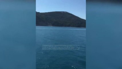 Top News - Operacioni i FA/ Sazani pastrohet nga predhat