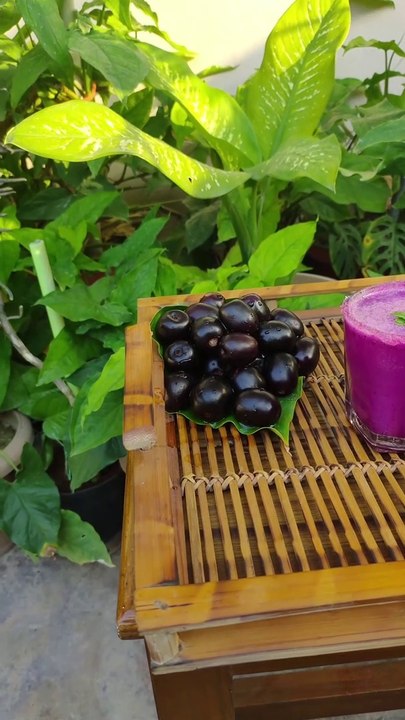 JAMUN SODA SHOTS |जामुन शॉट्स |How to make a healthy drink in 2 minutes |Healthy drink for Diabetic|JAMUN JUICE