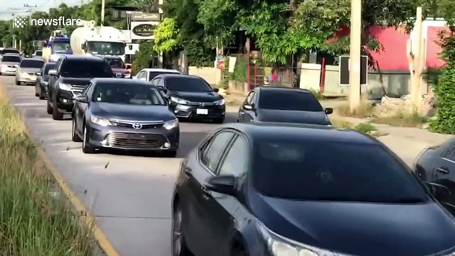 ⁣Huge python holds up traffic to cross busy road in Thailand