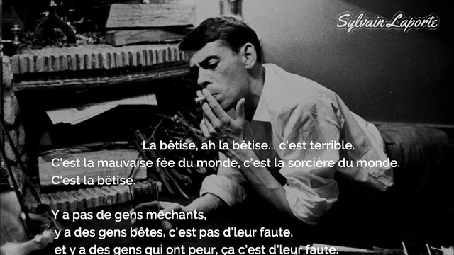 La bêtise humaine selon Jacques Brel. interview lu par Sylvain Laporte. La bêtise c'est de la paresse