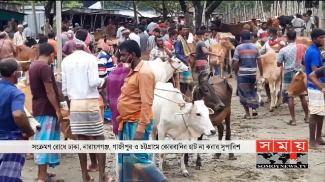 ঢাকা, নারায়ণগঞ্জ, গাজীপুর ও চট্টগ্রামে কোরবানির পশুর হাট স্থাপন না করার সুপারিশ - Qurbani Gorur Haat