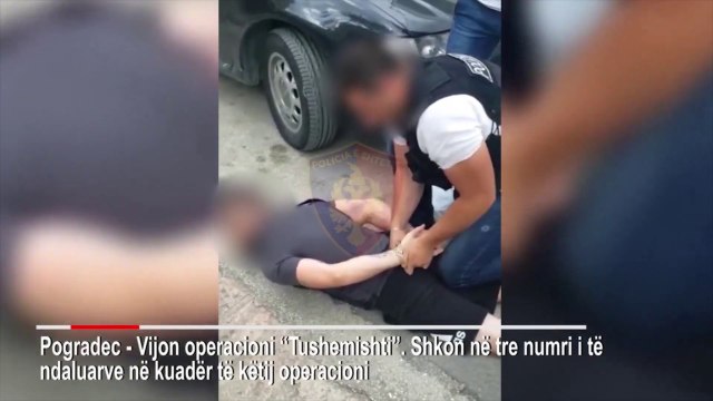 I SHTRIRË NË TOKË, TË RIUT NË POGRADEC I VIHEN PRANGA NË KËRKIM PËR TRAFIK DROGE