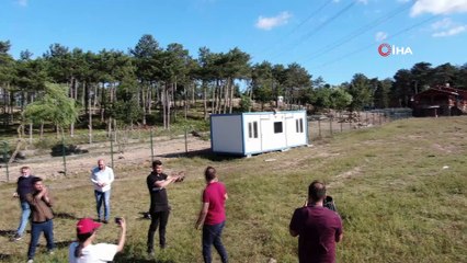 Çekmeköy’de  tedavisi tamamlanan 6 şahin doğaya salındı