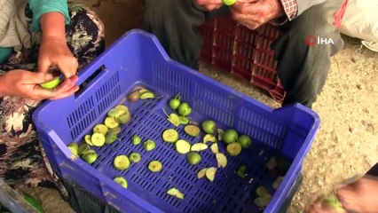 300 kişiye iş imkanı sağlıyor, ancak iş yerine elektrik alamıyor