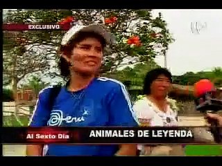 Guardianes y animales de las leyendas