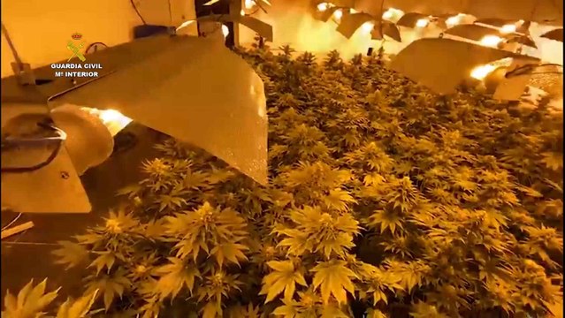 Detienen a 33 personas en dos operaciones antidroga en varias regiones