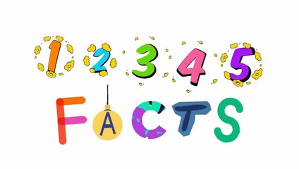 Five Facts About Human Body