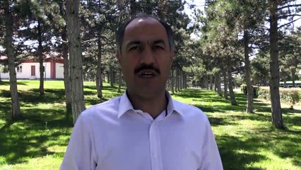 Adalar'ın atları Kapadokya'da rehabilite ediliyor - NEVŞEHİR