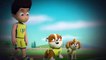 Paw Patrol S03E02 Pups Save The Soccer Game Pups Save a Lucky Collar