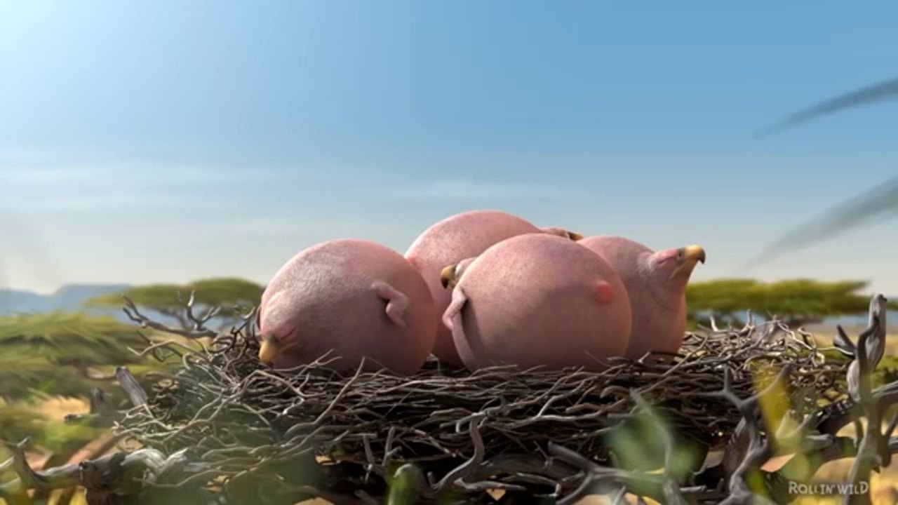 Funny_FAT_Animals_in_CGI_Animated_Short_Films_(3D_Animation_Cartoon_Movies_-_Rollin_Wild)