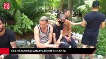 Aylardır sokaklarda kalıyorlar...
