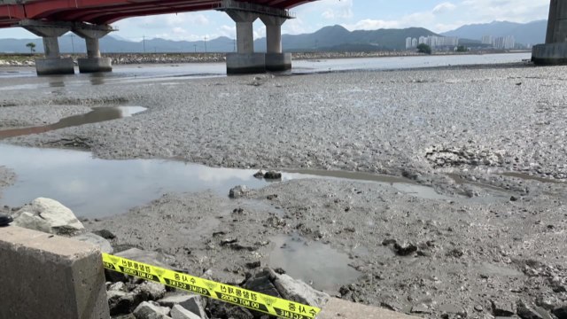 충남 보령 해안가에서 80대 여성 숨진 채 발견...조업 중이던 선원 다쳐 / YTN