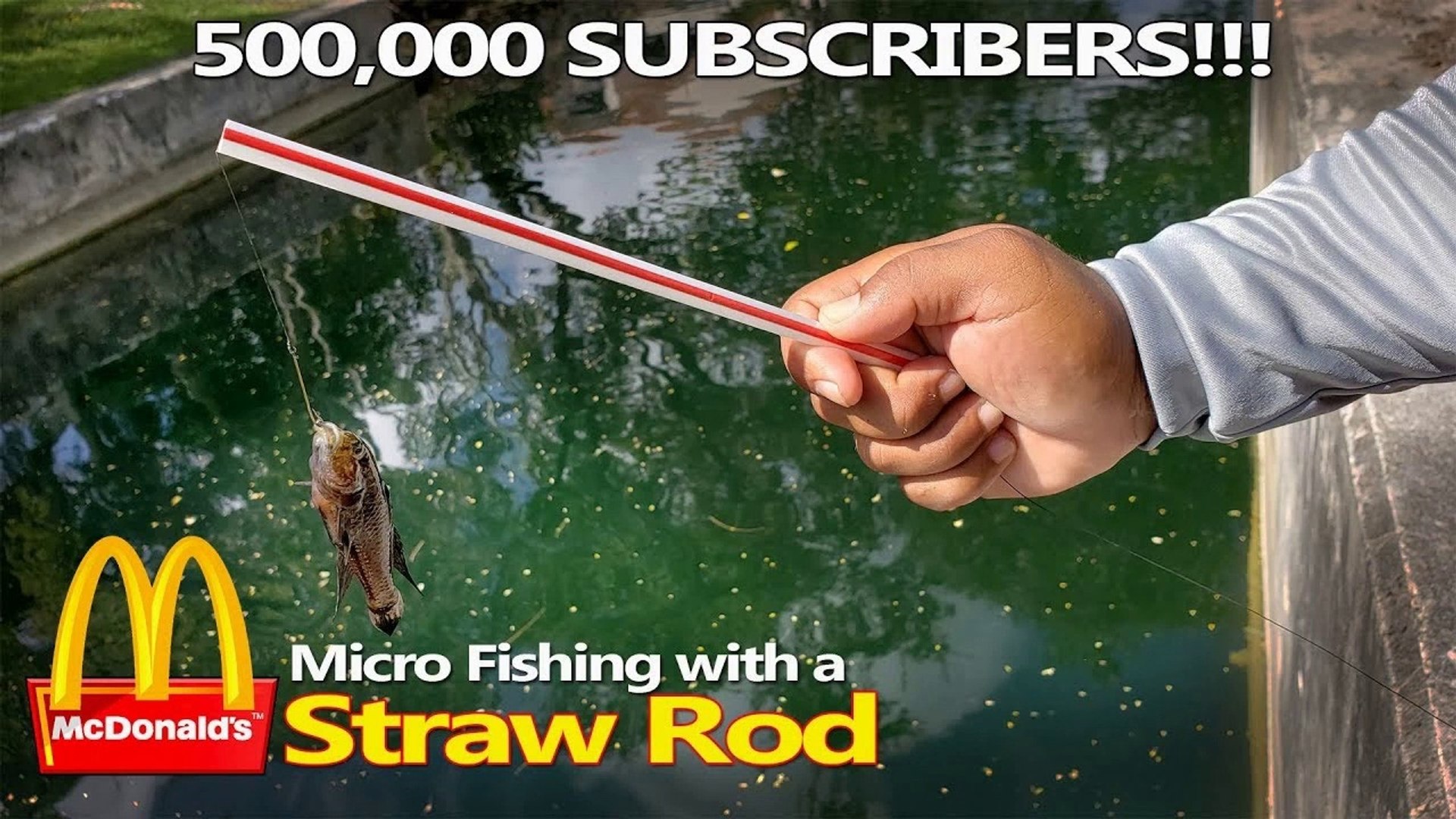 McDonalds Straw Micro Fishing Challenge DIY - video Dailymotion