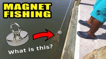 Magnet Fishing Marinas for Lost Treasure - What Did We Find_