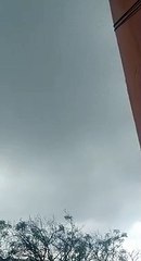 बहराइच में पहुँचे टिड्डियों के झुंड से किसान परेशान