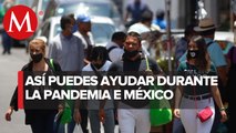 México x México, iniciativas ante el covid-19
