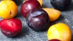 Plum Benefits: आलूबुखारा के फायदे जानकर उड़ जाएंगे होश | Benefits of eating plum | Boldsky