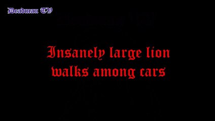 Titan Mega-Lion walks among cars (XXL Size) - Car size monster lion
