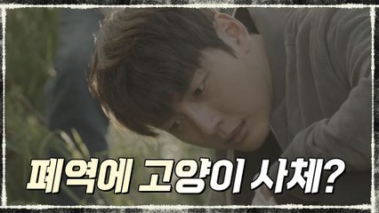 (찜찜) 폐역 선로에서 괴상한 고양이 사체 발견!