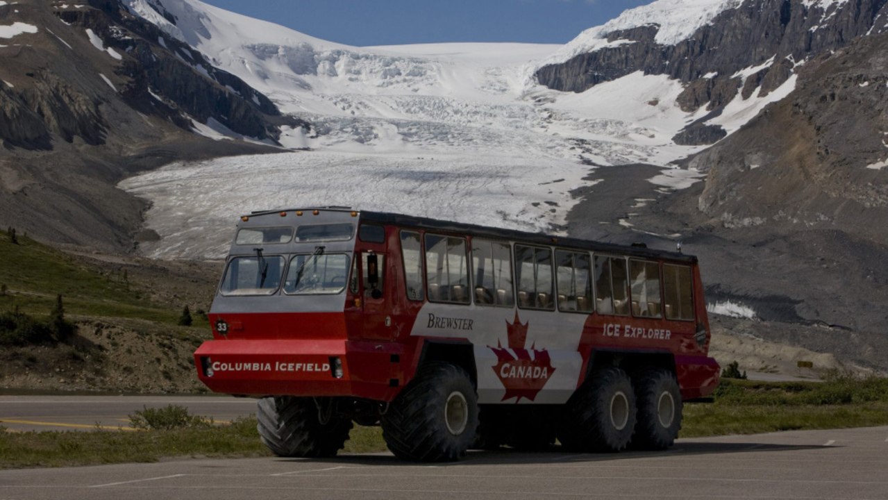 Sightseeing Bus in Canada’s Jasper National Park Under Investigation Following Fatal Rollo