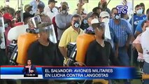 Resumen Internacional: El Salvador se prepara para la lucha contra una plaga de langostas