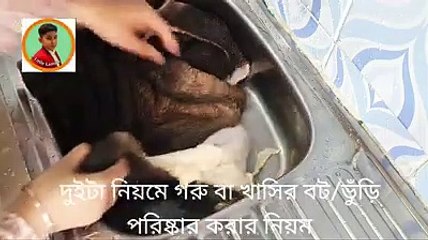 সহজ ২ টি পদ্ধতিতে গরু/ছাগলের বট /ভুড়ি পরিষ্কারের নিয়ম