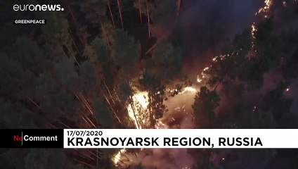 جنگل سوخته و دی‌اکسید کربن؛ آن چه آتش‌سوزی سیبری برای زمین به جا گذاشت